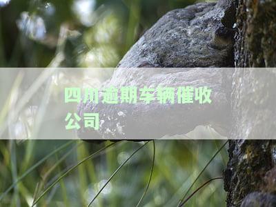 逾期车辆催收平台，确保资金安全，选择专业的逾期车辆催收平台