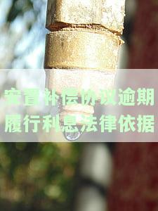 安置补偿协议逾期履行利息法律依据是什么，探究安置补偿协议逾期履行利息的法律依据