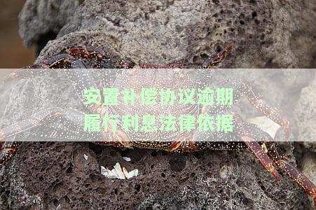 安置补偿协议合同有效期，明确权益保障：安置补偿协议合同有效期的重要性