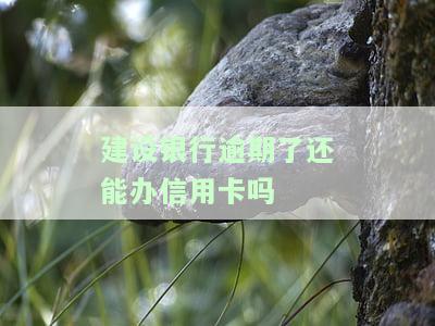建设银行逾期了还能办信用卡吗