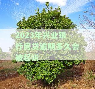 2023年兴业银行房贷逾期多久会被起诉呢，2023年兴业银行房贷逾期多长时间将面临诉讼风险？