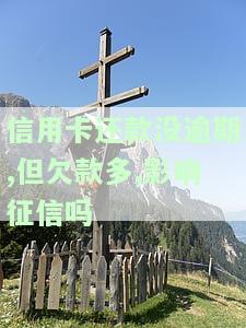 信用卡还款没逾期,但欠款多,影响征信吗-信用卡还款没逾期,但欠款多,影响征信吗