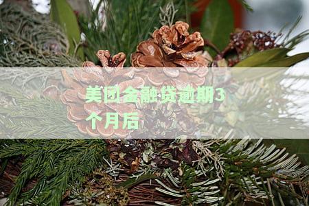 美团金融贷逾期3个月后怎么还款，美团金融贷逾期三个月后的还款解决方案
