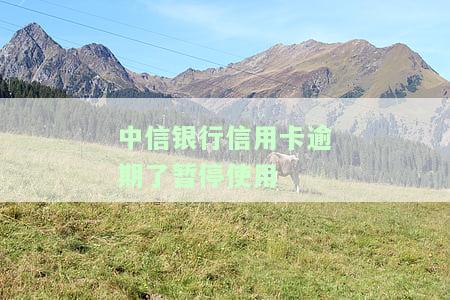 中信银行信用卡逾期了暂停使用-中信银行信用卡逾期了暂停使用怎么办