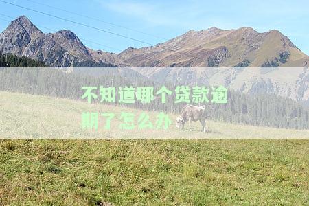 贷款逾期不知道是哪家怎么办，贷款逾期，如何确定是哪家银行或机构的问题？