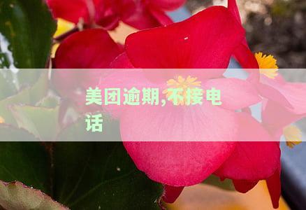 美团逾期未接听电话，收到催款短信称将起诉是真的吗？