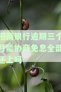招商银行逾期三个月，能协商分期吗？