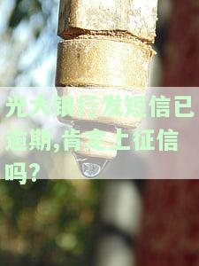 光大银行发短信已逾期,肯定上征信吗是真的吗，光大银行发短信提示逾期，是否一定会上征信？真相解析