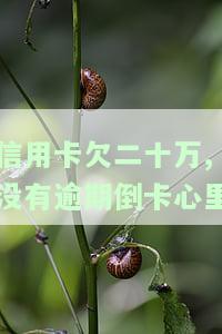 信用卡欠二十万,没有逾期倒卡心里-欠信用卡20万没有钱还怎么办