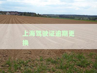上海驾驶证逾期更换流程全攻略：费用、步骤及所需材料一览