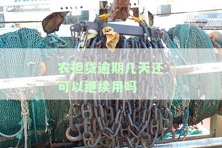 农担贷逾期几天还可以继续用吗