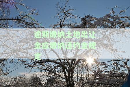 逾期支付土地出让金的违约责任详解
