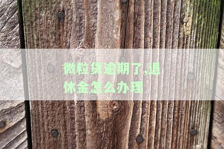 微粒贷逾期会判刑吗，微粒贷逾期是否会被判刑？探讨法律责任与应对策略