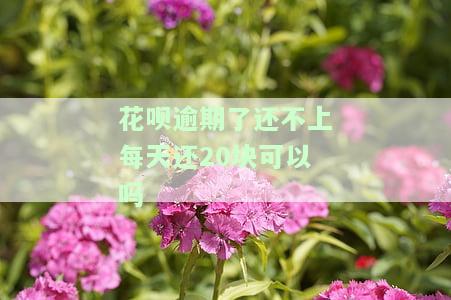 花呗逾期：每月最低还款额为200-300元，真的可行吗？