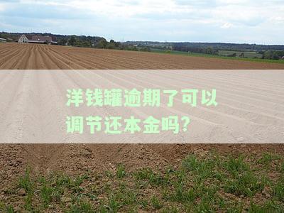 洋钱罐欠3794逾期了一个多月会怎么样，逾期一个多月，洋钱罐欠款3794元可能会带来什么后果？