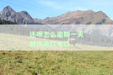 还呗逾期一天会导致账户冻结吗？