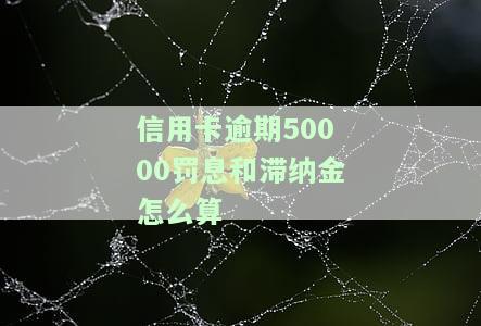 信用卡逾期50000罚息和滞纳金如何计算？