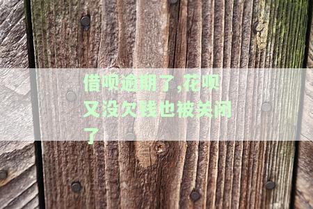 借呗逾期了,花呗又没欠钱也被关闭了吗，为何借呗逾期却影响到花呗？是否会被同时关闭？