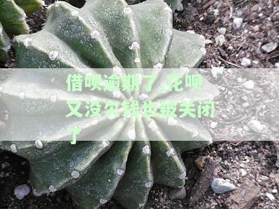 借呗逾期后花呗也没有了但过几天又开了又没有了，借呗逾期后，花呗短暂消失再恢复，又突然消失的情况解析