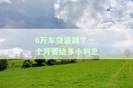 6万车贷逾期了一个月要给多小利息