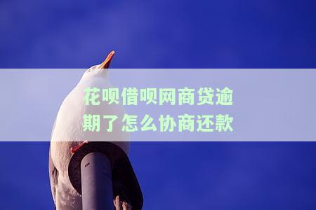 花呗借呗网商贷逾期了怎么协商还款呢，如何协商解决花呗、借呗和网商贷的逾期还款问题？