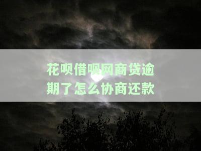 支付宝花呗借呗网商贷逾期怎么办，应对逾期：支付宝花呗、借呗和网商贷的解决方案