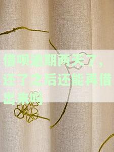 借呗逾期两天还完后能否再次借款？安全性如何？