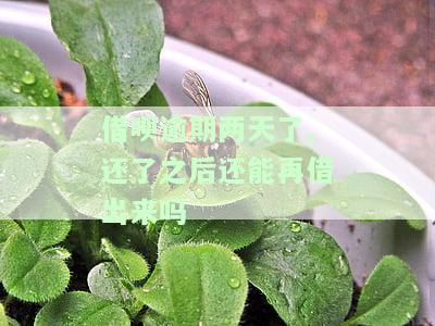 借呗逾期两天了,还了之后还能再借出来吗怎么办，借呗逾期两天还款后能否再次借款？解决方案解析