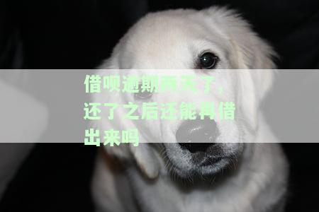 借呗逾期两天了,还了之后还能再借出来吗