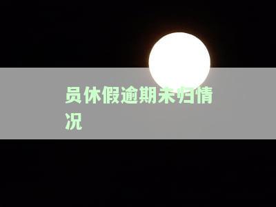 未休假人员情况说明，未休假员工情况说明：原因、影响及解决方案