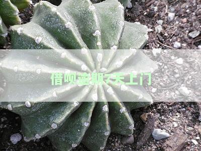 借呗逾期了说要上门是真的吗，真相揭示：借呗逾期是否真的会上门催收？