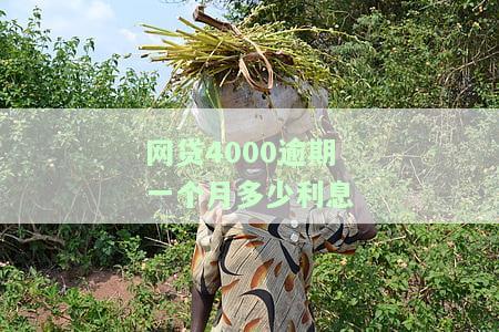 网贷4000逾期一个月利息多少算正常？逾期后果严重！