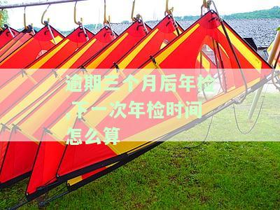 逾期三个月后年检，下一次年检时间如何计算？