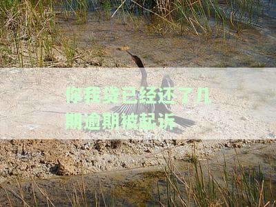 你我贷逾期半年多，被威胁起诉，该如何应对？
