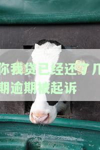 你我贷逾期后还清能否继续使用？已还款还能再次贷款吗？
