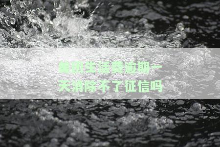 美团生活费逾期一天是否真的会消除不了征信？