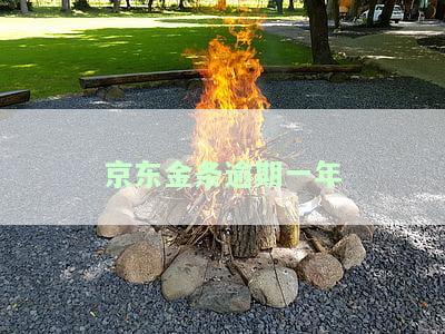 京东金条逾期一年会有哪些严重后果？