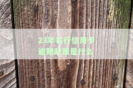 23年农行信用卡逾期政策是什么呢，探究2023年农业银行信用卡逾期政策，了解还款规定