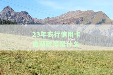 23年农行信用卡逾期政策是什么-23年农行信用卡逾期政策是什么意思