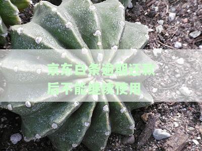逾期还款后还可以用吗，逾期还款后还能继续使用吗？答案在这里！