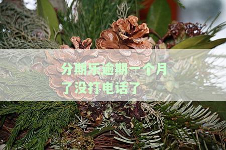 分期乐逾期电话后面没打了怎么回事，分期乐逾期未继续接打电话，原因何在？