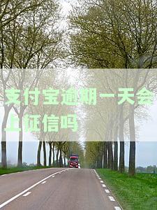 支付宝逾期一天会影响信用吗，支付宝逾期一天会损害你的信用记录吗？