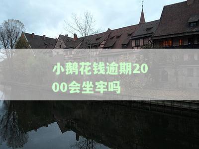 小鹅花钱逾期8000会被起诉嘛，逾期8000元小鹅花钱是否会面临诉讼？