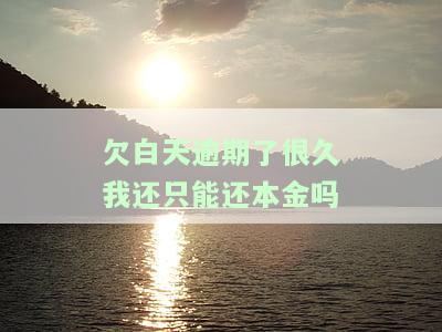 欠白天逾期了很久我还只能还本金吗为什么，为何欠款逾期久未还，只能偿还本金？