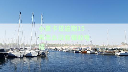 小赢卡贷逾期半年了怎么都不见催还电话呢，小赢卡贷逾期半年，为何未接收到催款电话？