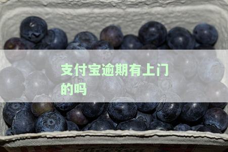 支付宝逾期有上门的吗知乎，关于支付宝逾期，是否会有人上门催收？——知乎上的讨论与解答