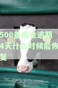 500备用金逾期一个月利息是多少，计算逾期一个月的500元备用金利息