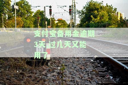 支付宝备用金逾期3天,过几天又能用了吗，支付宝备用金逾期3天，还能否继续使用？