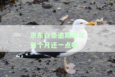 逾期后是否需一次性还清？安全性如何？