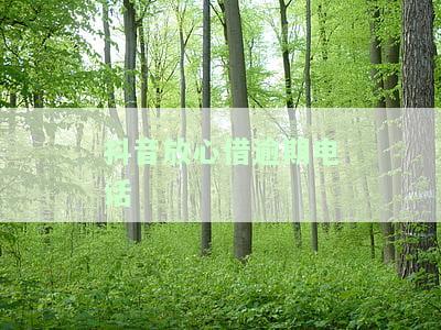 抖音放心借逾期几天上征信？协商期还款方法大揭秘！